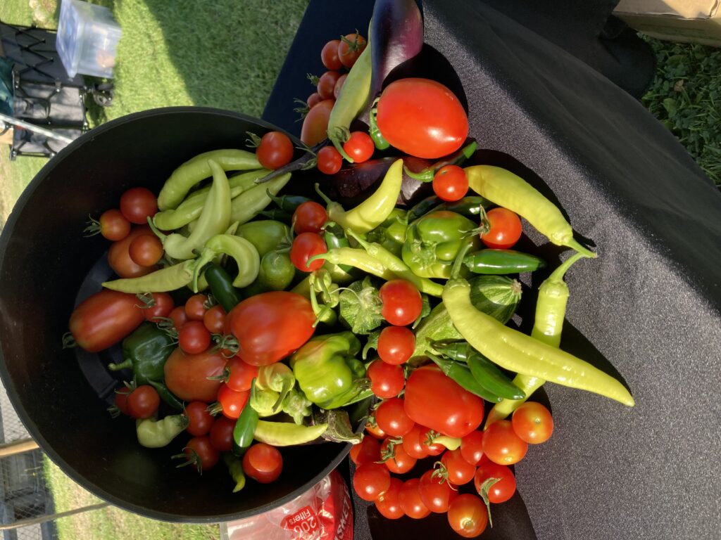 Upland Unified School District California School News Report