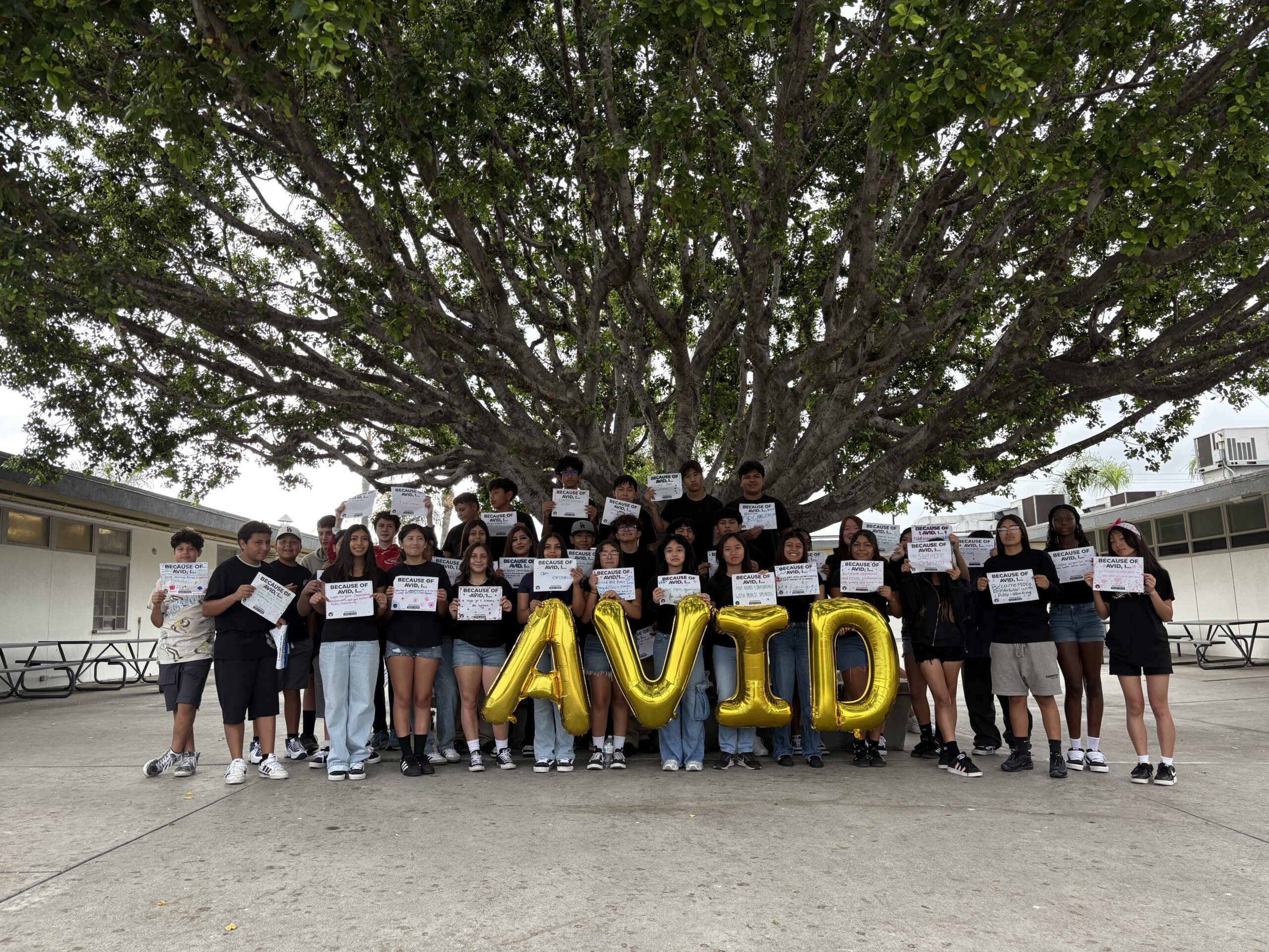 Right-click to download