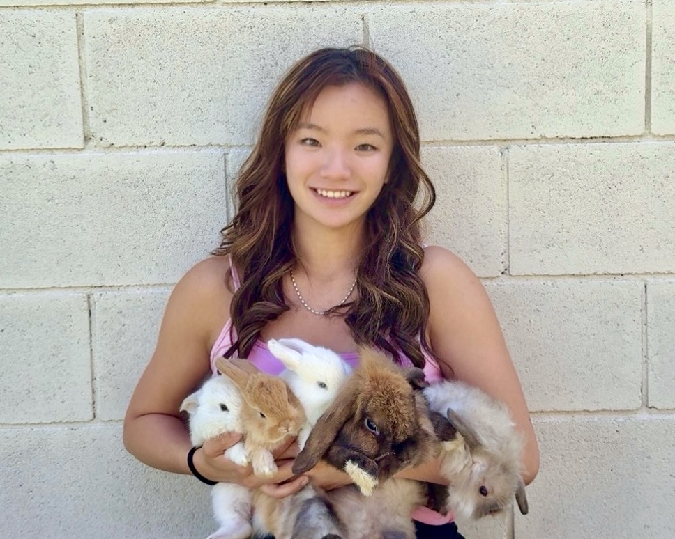 Right-click to download 